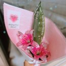 용산-244 | 졸업식 꽃다발 추천 필로시코스 용산 조화 꽃다발 가격, 종류