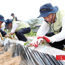 황산벌참살이마을 이미지