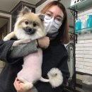 뽀글이헤어앞 이미지