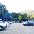 산막골 Daum카페