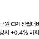 cpi 지수 땜에 주식 옳루겠네 이미지