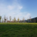 팔용산 등산로 입구 이미지