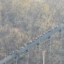 에버티씨