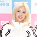 컬러존
