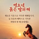 프림로즈