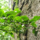 진벌1리 마을회관 이미지