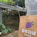 박흥수농장 네이버블로그