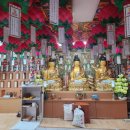 사하구-12 이미지