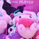 핑키펑키(사상점) 이미지