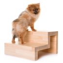 마스터 동물의료센터 이미지