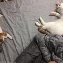 마리앤라인의원 이미지