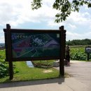 경주연꽃단지 이미지