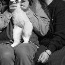 난산리-1 이미지