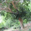 왕인박사기념관 이미지