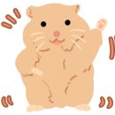 온시선헤어