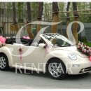 태성렌트카 이미지