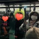 오렌지노래팡팡 이미지