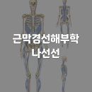 15. 몸의 나선 : 작용&amp;반작용 이미지