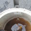 대형손세차 이미지