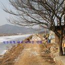 선두포낚시터 이미지