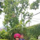 CP커플국제결혼 이미지