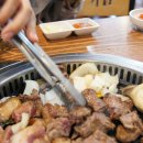 여행친구투어 이미지