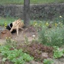 성보고등학교 이미지