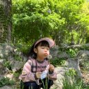 즐거운영재어린이집 이미지
