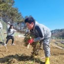 가영이네농장 이미지