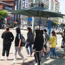 그늘막25 이미지