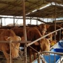 <경계에 서다> 이미지