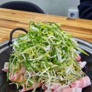 김여사네대패불