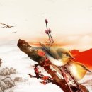 한국행정사 이미지