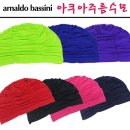 아놀드바시니 이미지