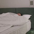 향기로운감정생활<오일테라피> | 천연 아로마오일 추천 사용법 라벤더오일 효능 아로마테라피 디퓨저 숙면템