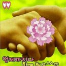 마루아라 이미지