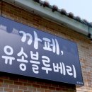 유송블루베리농장 이미지