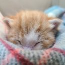 용산-현장-476 이미지