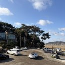 카페041 | [보령] 현지인 맛집 브런치카페 “카페 소미안” 파스타, 돈까스 런치 후기