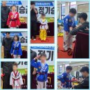 창동백호태권도장 이미지