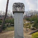 (주)대웅펫 | (강남)홍매화 3대 명소 수도산 봉은사