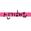 이현경애견미용학원