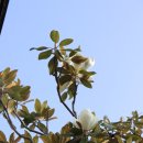 오투스토리 캠핑장 이미지