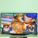 에브리데이항상약국 이미지