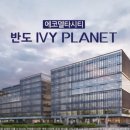 아이비303 이미지