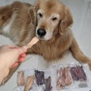 도기머기 이미지