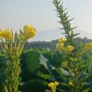 무더운 날 열람실에서 이미지