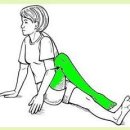 무릎연골 강화법, 관절염 치료법 & 퇴행성 관절염 이미지