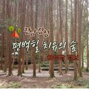 치유의 숲 야영장 | [전남장성] 편백힐 치유의숲 야영장 리뷰
