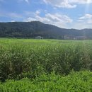 진흥공인중개사사무소 이미지